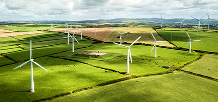 Des éoliennes au milieu de prairies