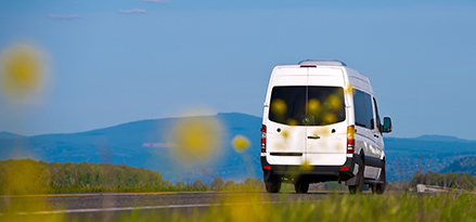white-van-yellow-flowers