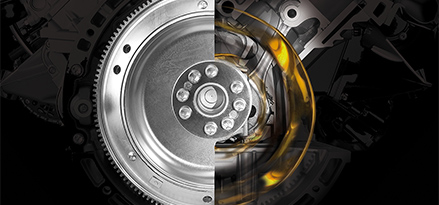 Gear Xray