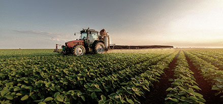 Tracteur au milieu d’un champ